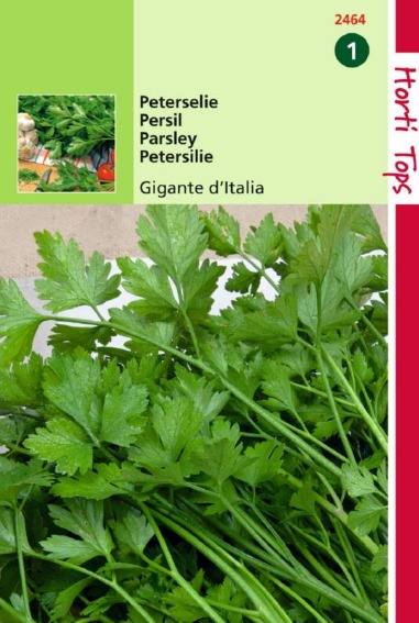 Peterselie Gigante d'Italia (Petroselinum crispum)
